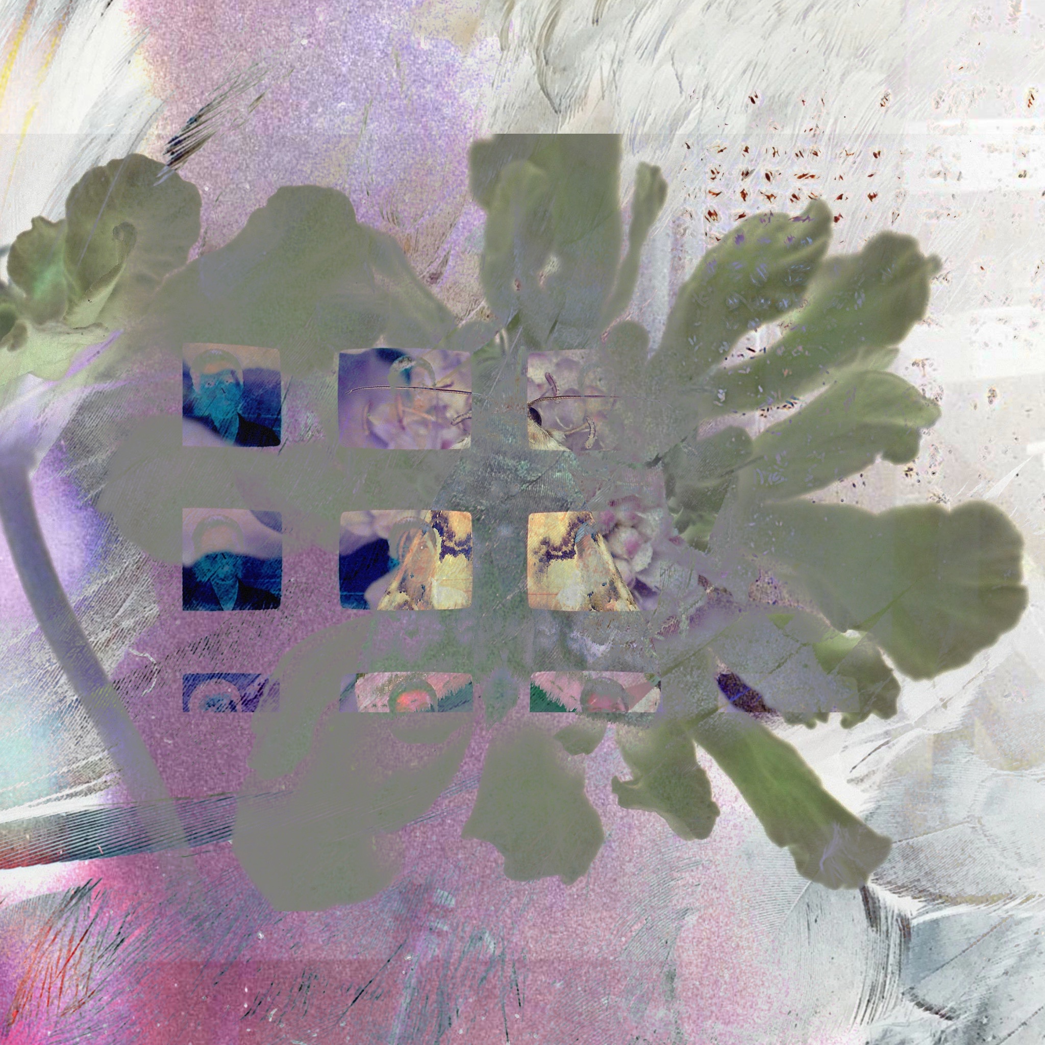 leaves and small grid of body fragments, lavender wash