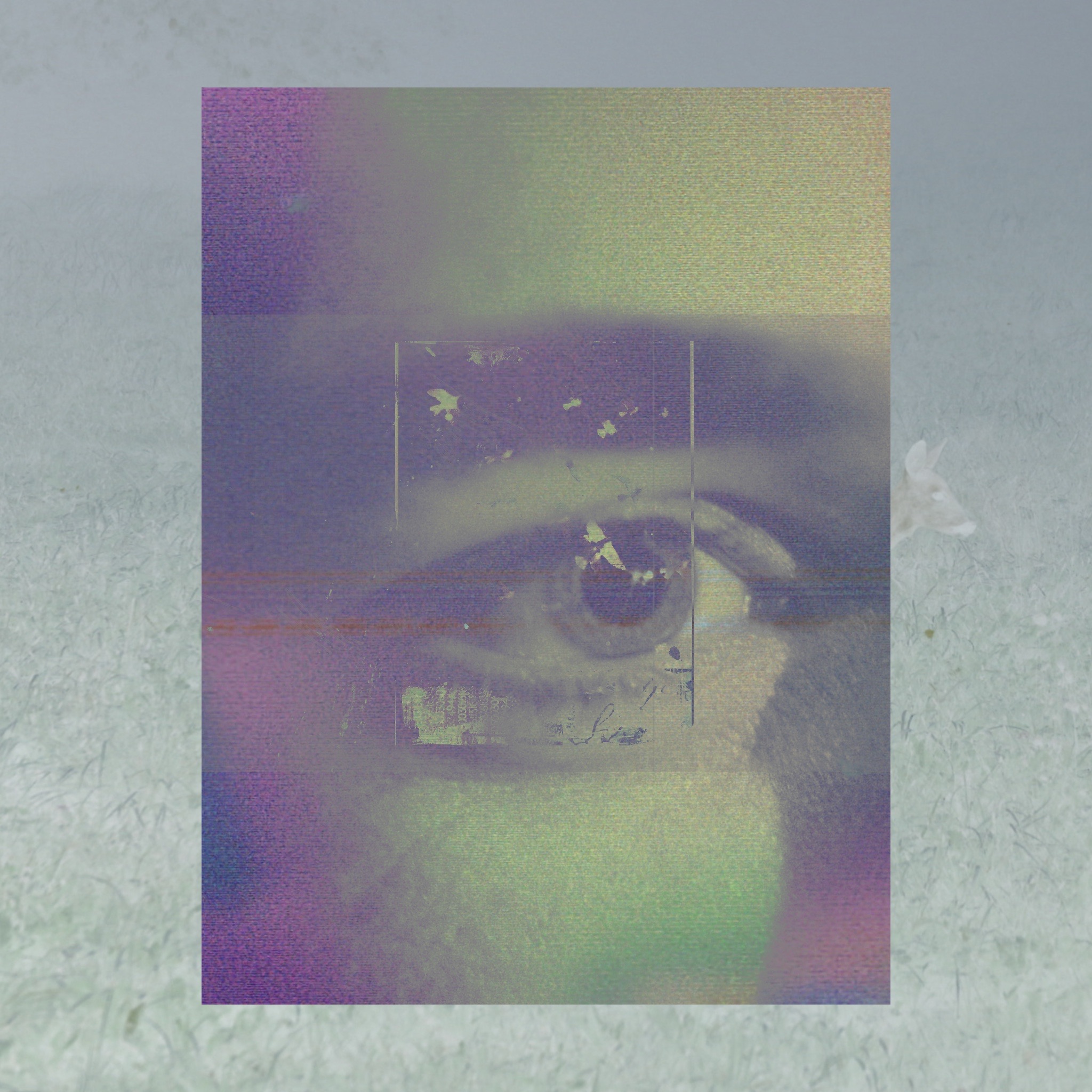 tu jamón — eye over a grass field